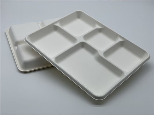 Dinnerware 25g 5 Compartment Biodegradable Food Trays