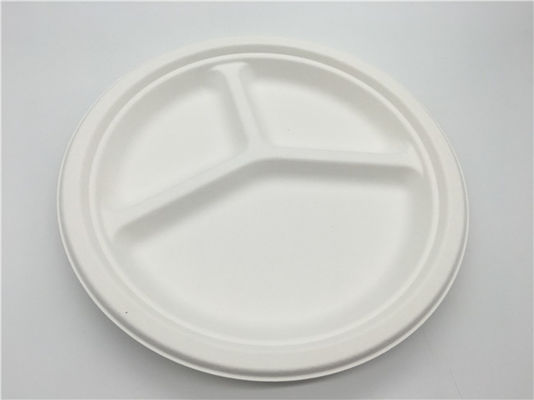 9" Biodegradable Sugarcane Bagasse Plates