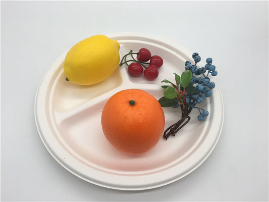 9" Biodegradable Sugarcane Bagasse Plates