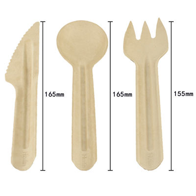 Compostable Disposable Bagasse Paper Party Cutlery Set