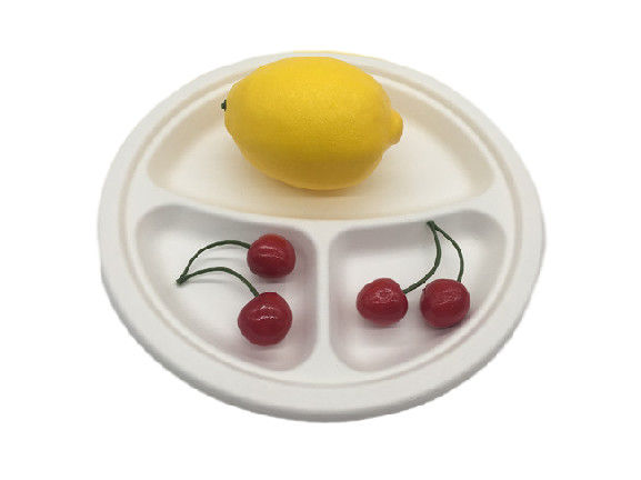 9" Biodegradable Sugarcane Bagasse Plates